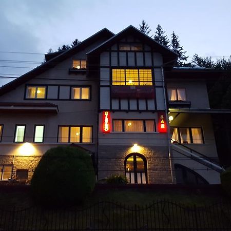 Vila Gabriel シナヤ エクステリア 写真
